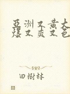 亚洲又黄大粗又爆又爽又色在线观看