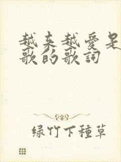 越来越爱是哪首歌的歌词