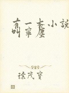 有一本小说主角叫宁尘