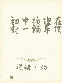 初中物理在线一对一辅导价格