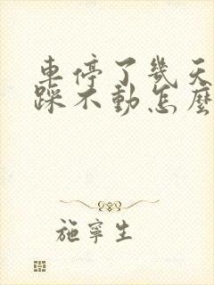 车停了几天刹车踩不动怎么回事