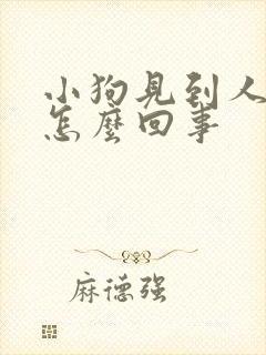 小狗见到人就尿怎么回事