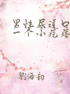 男性尿道口长了一个小疙瘩怎么回事