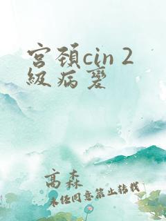 宫颈cin 2级病变