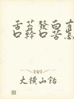 舌苔发白有齿痕口干口苦怎么回事