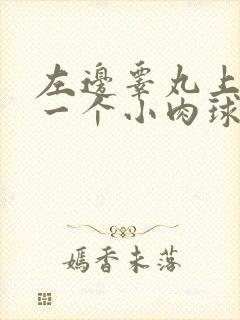 左边睾丸上长了一个小肉球硬硬的