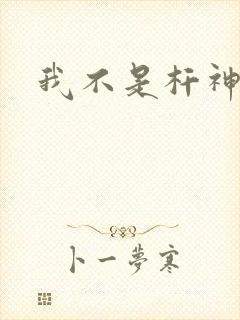 我不是杆神锤锤