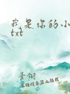 我是你的小小狗txt