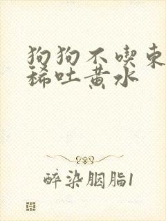 狗狗不吃东西拉稀吐黄水