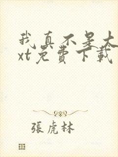 我真不是大佬txt免费下载