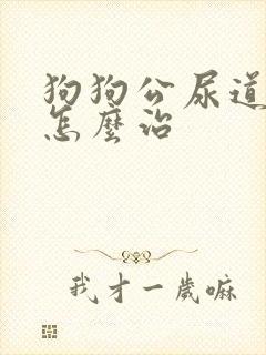 狗狗公尿道滴血怎么治