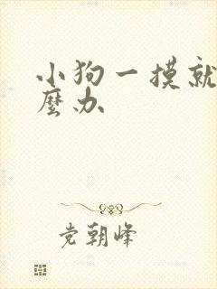 小狗一摸就尿怎么办