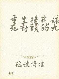 重生后我嫁给了死对头的九叔