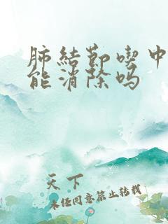 肺结节吃中草药能消除吗