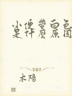 小便带白色液体是什么原因