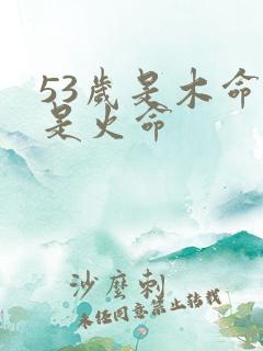 53岁是木命还是火命