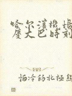 哈尔滨机场到大庆大巴时刻表