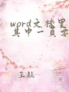 word文档里其中一页要横向怎么弄