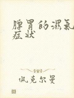 脾胃的湿气重的症状