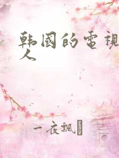 韩国的电视剧爱人