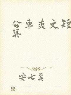 公车爽文短篇合集