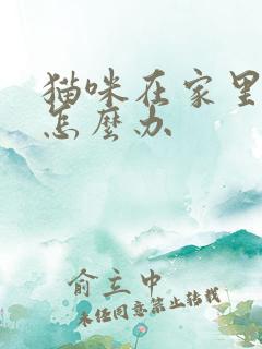 猫咪在家里乱尿怎么办