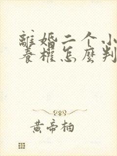 离婚二个小孩抚养权怎么判