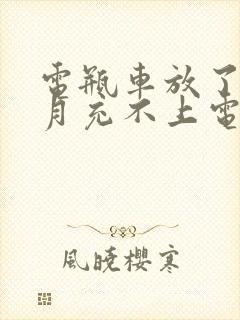 电瓶车放了三个月充不上电亮绿灯