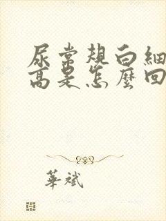 尿常规白细胞数高是怎么回事