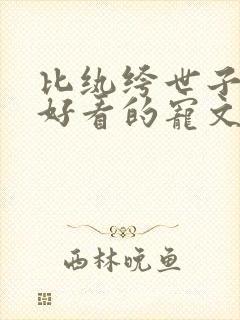 比纨绔世子妃更好看的宠文