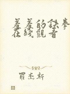 羞羞的铁拳免费在线观看