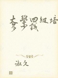 大学四级培训班多少钱