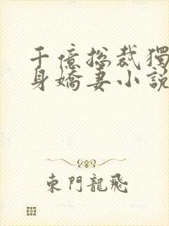 千亿总裁独宠替身娇妻小说