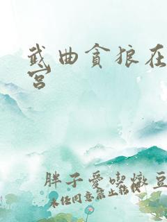 武曲贪狼在福德宫