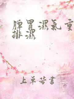 脾胃湿气重如何排湿