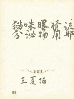 猫咪眼睛流黄色分泌物用哪个眼药水