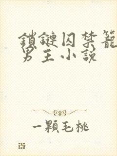 锁链囚禁笼子双男主小说