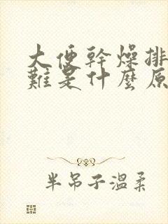 大便干燥排便困难是什么原因引起