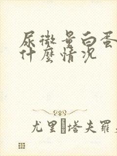 尿微量白蛋白高什么情况