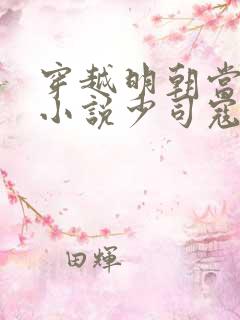 穿越明朝当皇帝小说少司寇