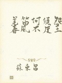 羌笛何须怨杨柳春风不度玉门关什么意思