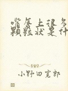 嘴唇上很多白点颗粒状是什么