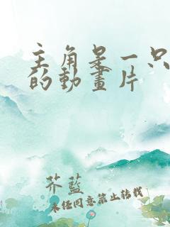 主角是一只黄猫的动画片