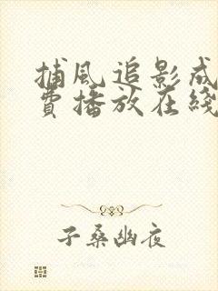 捕风追影成龙免费播放在线观看