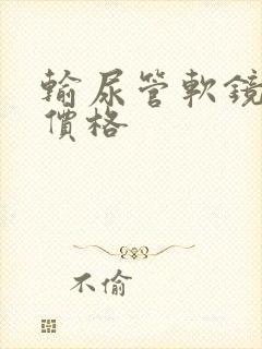 输尿管软镜取石价格