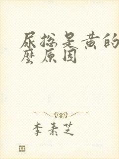 尿总是黄的是什么原因