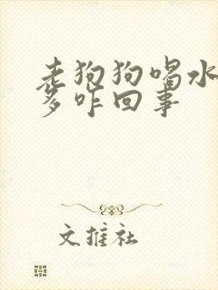 老狗狗喝水多尿多咋回事