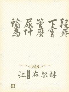 输尿管下段结石为什么会疼痛