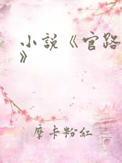 小说《官路风云》