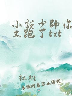 小说少帅你老婆又跑了txt